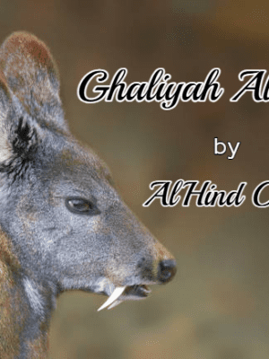 Ghaliyah Al Sa’ad