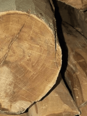 One Tree Sandalwood Oil